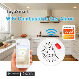 Capteur de gaz naturel domestique intelligent