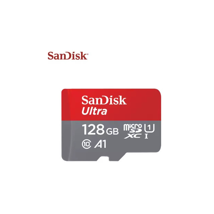 Carte SD Sandisk