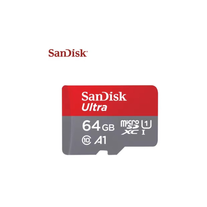Carte SD Sandisk