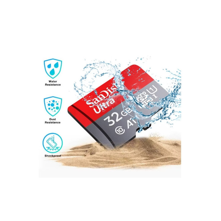 Carte SD Sandisk